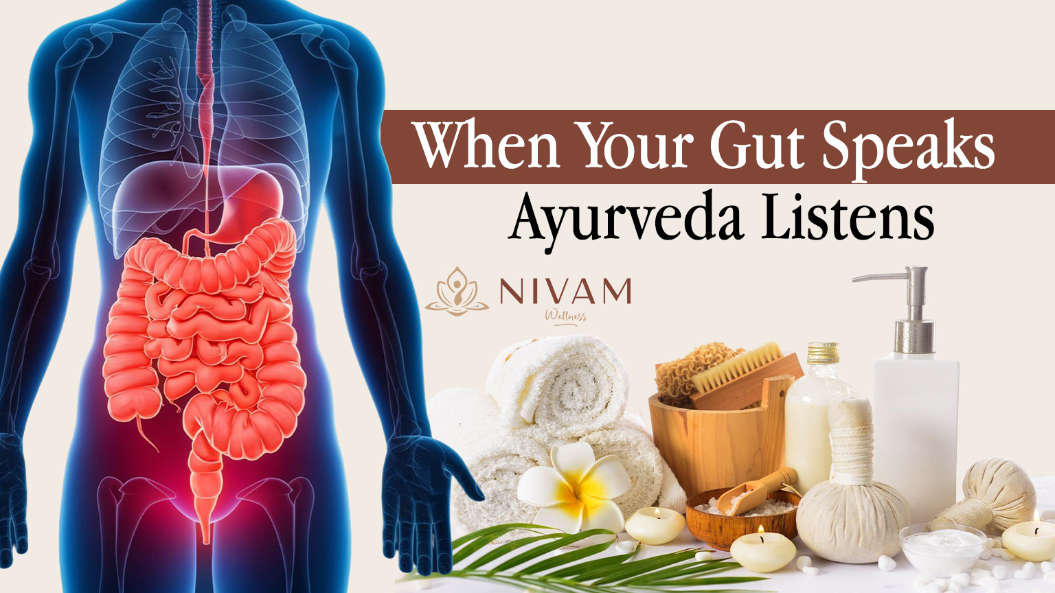 ayurvedic treatment for gut health.